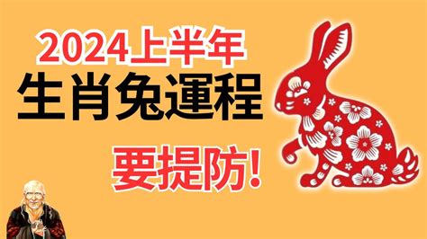 2024年生肖運程 兔|属兔2024年运程及运势详解 2024年属兔人全年每月运势